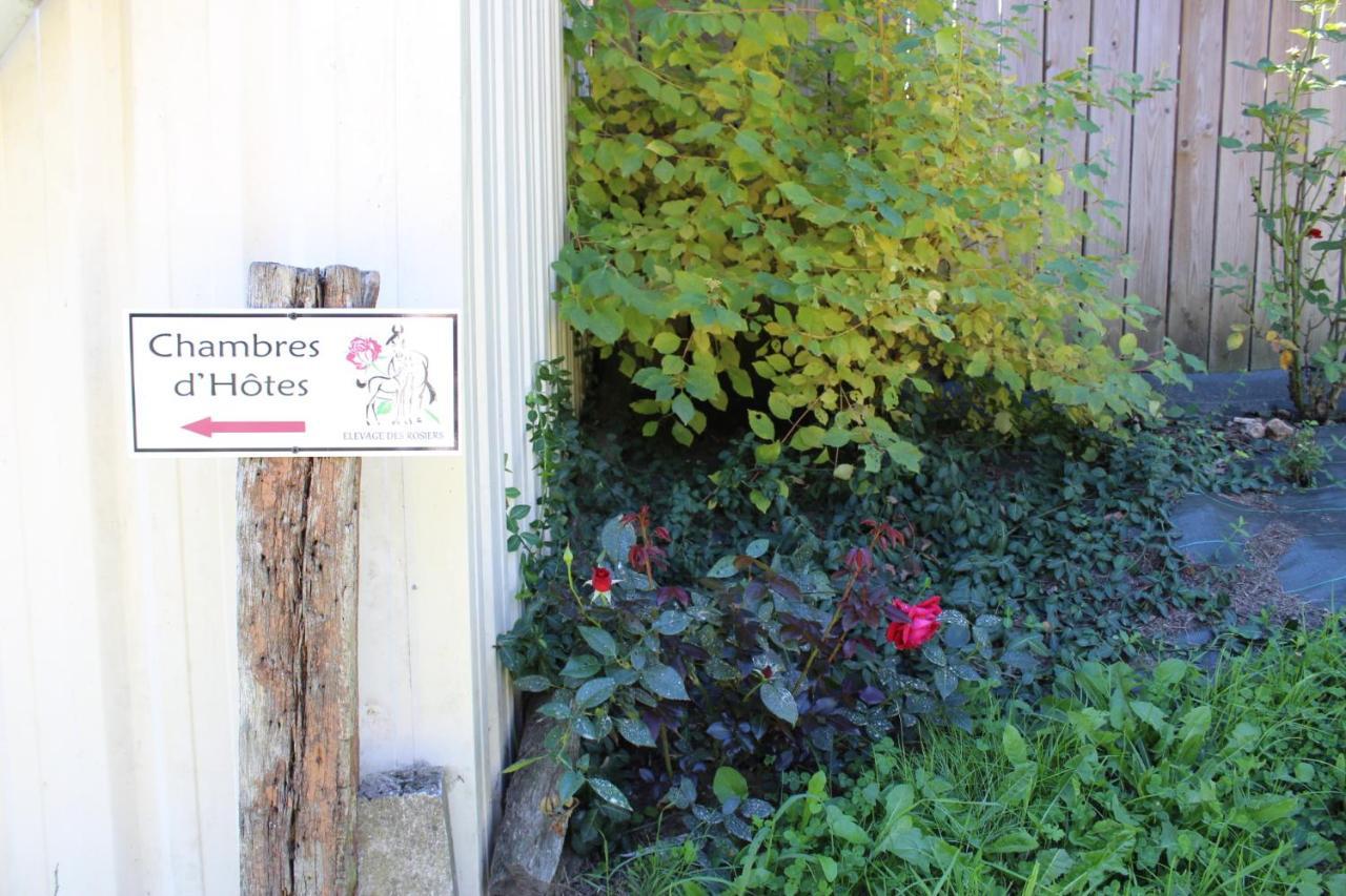 Chambre D'Hote En Vallee Du Loir - Elevage Des Rosiers Bazouges-sur-le-Loir Eksteriør billede