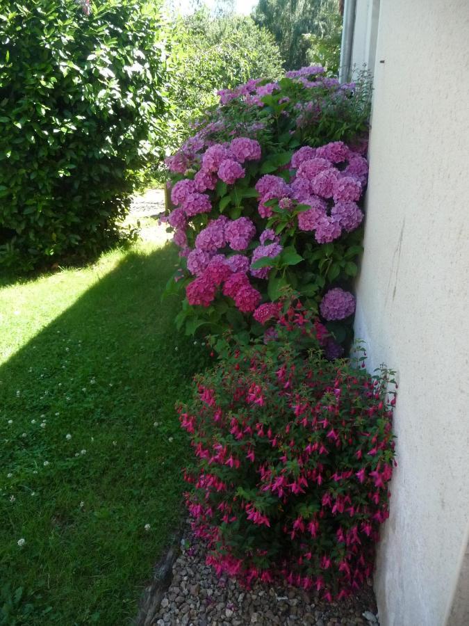 Chambre D'Hote En Vallee Du Loir - Elevage Des Rosiers Bazouges-sur-le-Loir Eksteriør billede