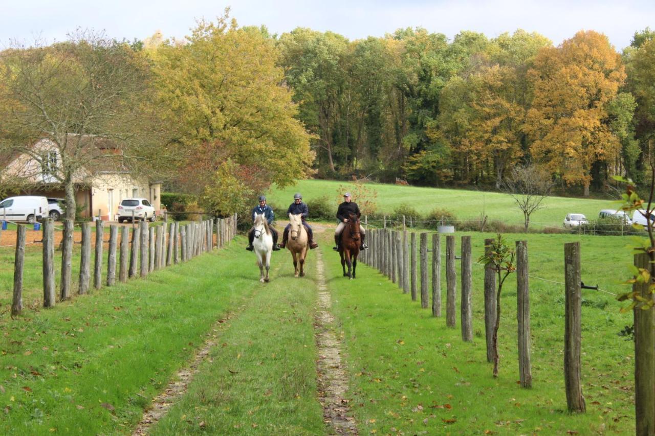 Chambre D'Hote En Vallee Du Loir - Elevage Des Rosiers Bazouges-sur-le-Loir Eksteriør billede
