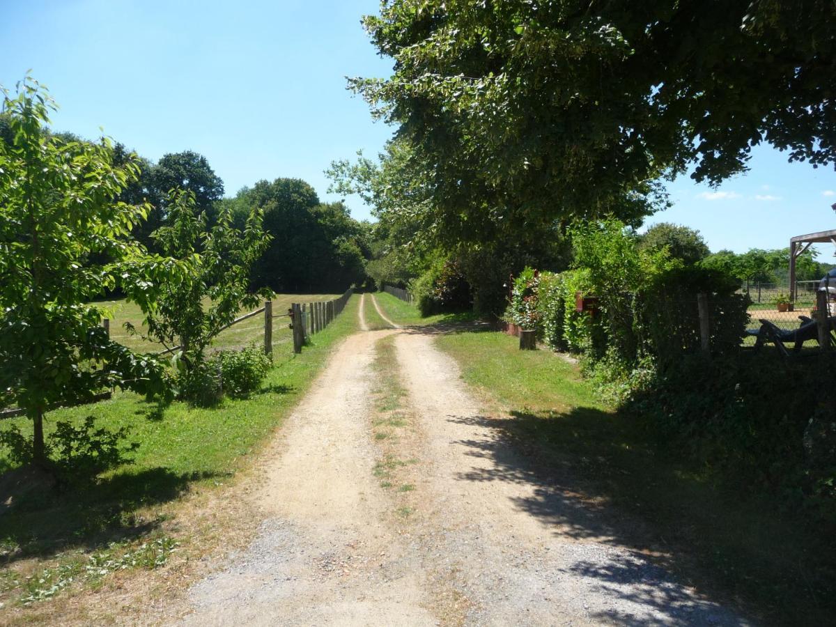 Chambre D'Hote En Vallee Du Loir - Elevage Des Rosiers Bazouges-sur-le-Loir Eksteriør billede